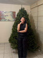 Hestia Caryn Sleeveless Top