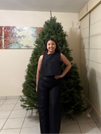 Hestia Caryn Sleeveless Top