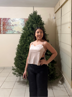 Bella Satin Cami Top