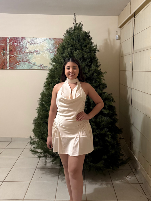 Aurora Satin Dress